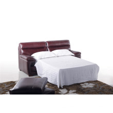 Freizeit Italien Leder Sofa Möbel (742)